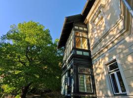Villa Petterhof，位于Schottwien的酒店
