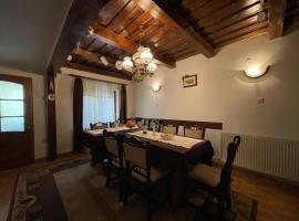 Pensiunea Nechita，位于Şanţ的酒店