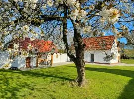 Ferienhaus Berta
