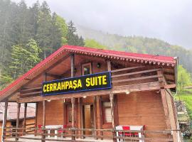 CERRAHPAŞA SUİTE HOTEL，位于乌宗的酒店