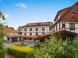 明镜施瓦林霍夫兰德酒店
