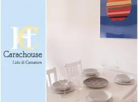 Carachouse-Lido di Camaiore, tra pini marini e mare