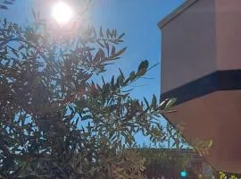 Appartamento L'Ulivo