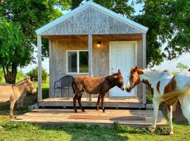 Tiny Cabin at the DonkeyRanch，位于Medicine Park的公寓