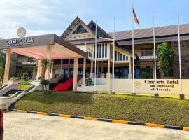 丹戎槟榔舒适酒店，位于丹戎槟榔拉贾·哈吉·非萨比利拉国际机场 - TNJ附近的酒店