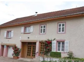 Gîte spacieux avec terrasse et cheminée près de Saint-Dié, à 28 km de Gérardmer - FR-1-589-261