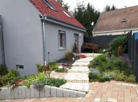 Gite Terre d'Helene 4 à 5 pers proche Strasbourg 42 m2, 3 étoiles, wifi, paisible, jardin, proche commerces,16 atouts, animaux acceptés