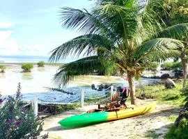 Toliz Beach House -Sipaway Island San Carlos City