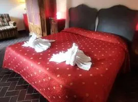 VECCHIO MULINO FONTONA Ortensia