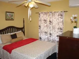 Cozy Deluxe 2BR Condo New Kingston