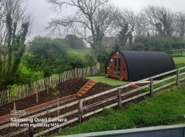 Ivy hill Glamping Pod，位于恩尼斯的公寓