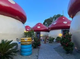 MUSHROOMS INN