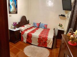 15pax-2 minutes to Vigan-RoseandFer Transient-2 Bedroom House，位于Bantay的度假短租房