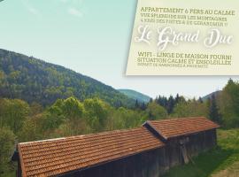 ⁂⁂ LE GRAND DUC Appartement [CLEDICIHOME] / Magnifique vue sur les montagnes / 4 KMs DE GERARDMER ! ⁂⁂，位于Rochesson的公寓
