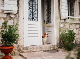 White Shutters House