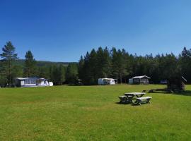 Gresslifoss Camping，位于Gressli的露营地