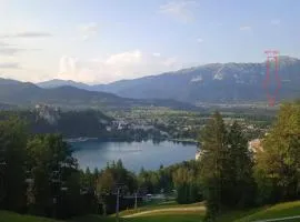 Apartment Bee near Bled