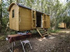 Lovely 2-Bed shepherds hut in a Forest