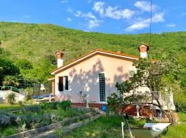 Villa Flamingo Mošćenička Draga