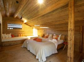 Mountain Cabin Tschividains Lenzerheide，位于Obervaz的木屋