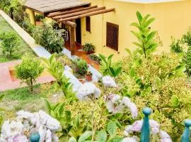 Il Veliero Blu Lipari Centro - Guest House