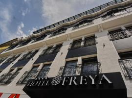 Hotel Freya，位于斯特鲁加圣乔治教堂附近的酒店