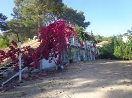 çiftlik tepesi pansiyon