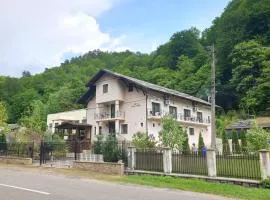 Vila Tisa