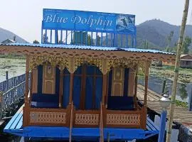Houseboat Blue Dolphin