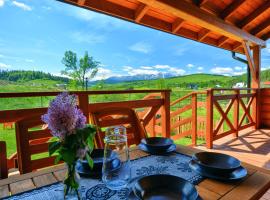 Szczubiałówka dom w górach，位于Niedzica的酒店