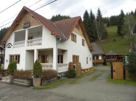 Pensiunea Irina，位于Botuş的酒店