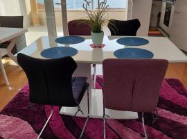 Sunny Deluxe Apartment，位于帕格的酒店