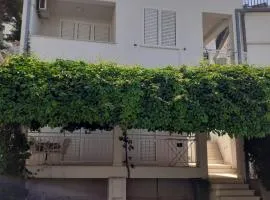 Apartments Vinea