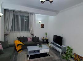 Cozy 1-bedroom luxury Apartment，位于亚的斯亚贝巴的公寓
