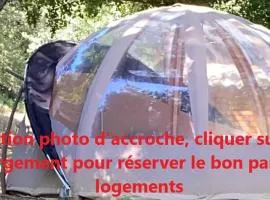 nuit étoilée