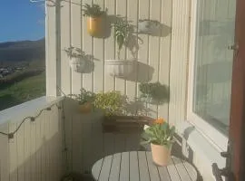 A cosy one bedroom apartment with a balcony