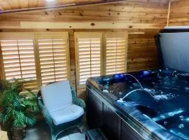 Blue Bear Den 3BR 2BA DTC Private Apt Hot Tub