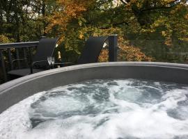 P23 - Studio Pod with Hot Tub，位于贝塞斯达的带按摩浴缸的酒店