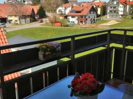 Ferienwohnung Hengnau in Wasserburg am Bodensee，位于瓦瑟堡的酒店