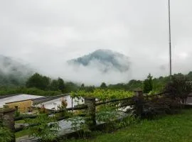 维斯特木公寓酒店