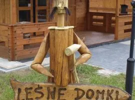 Radawa Leśne Domki - Leśny domek