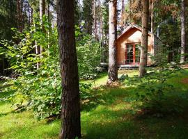 Private cosy forest cabin，位于Inturkė的度假屋