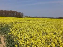 Ferienhof mit Bergblick