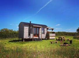Shepherds Hut in a private meadow with sea views，位于哈特兰的露营地