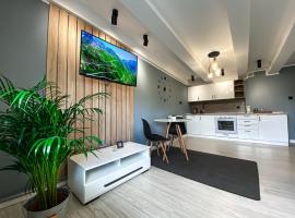 BP Apartment VI，位于托伦的酒店