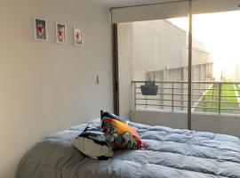 Departamento ideal para viajeros, zona turística，位于圣地亚哥的酒店