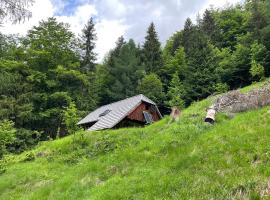 Architect`s Cottage - serenity and greenery in the highlands，位于索卡的木屋