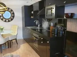 Květinový apartmán A3B v Chomutově