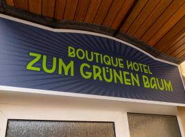 Boutique-Hotel Zum Grünen Baum，位于阿尔岑瑙·因·尤特弗兰恩的酒店