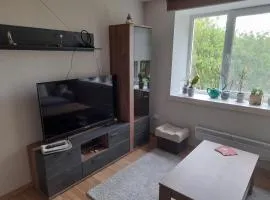 Quiet Summer Apartment